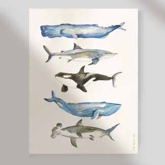 ballenas acuarelas decoración láminas niños kids